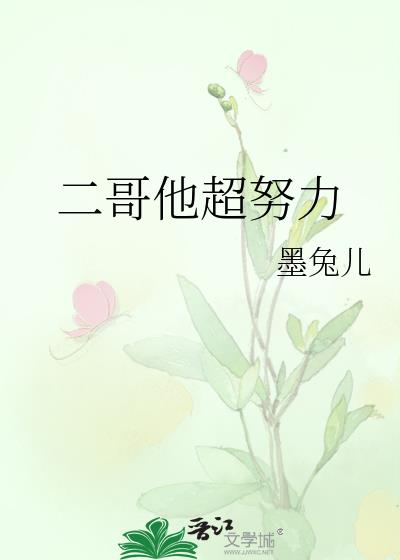 二哥他超努力小说全文阅读免费